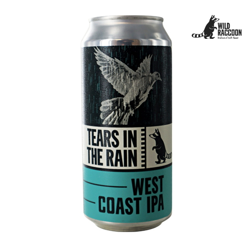 Wild Raccoon Tears In The Rain 44 Cl. (lattina)