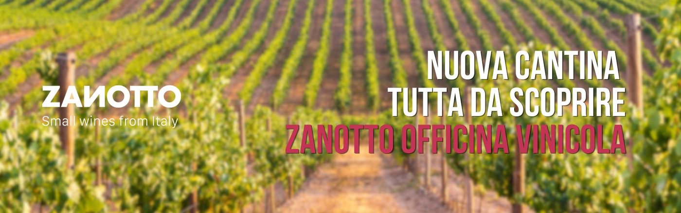 Zanotto officina vinicola