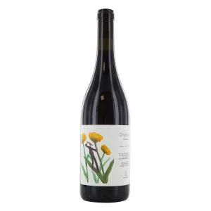 VINO Cantina Giardino ROSSO CHIANZANO 75 Cl.