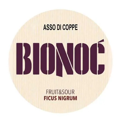 BioNoc' Asso di Coppe Ficus Nigrum Fusto 20 Lt. (Attacco Baionetta)