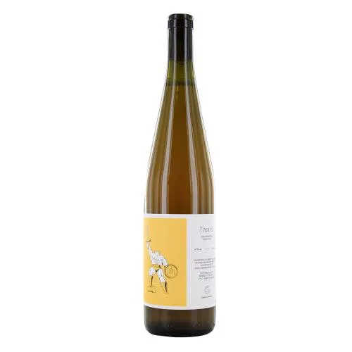 VINO Cantina Giardino T'ARA RA' 2022 75 Cl.
