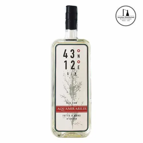 Anonima Distillazioni Gin Old Tom 43° 70 Cl.