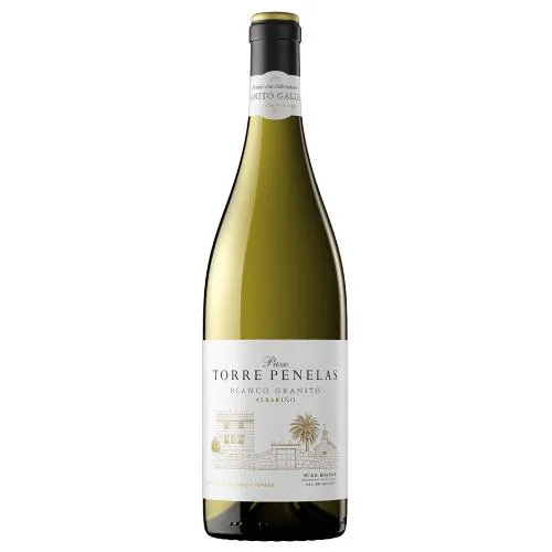 VINO Torres Albariño Pazo Penelas El Granitico 2022 75 Cl.
